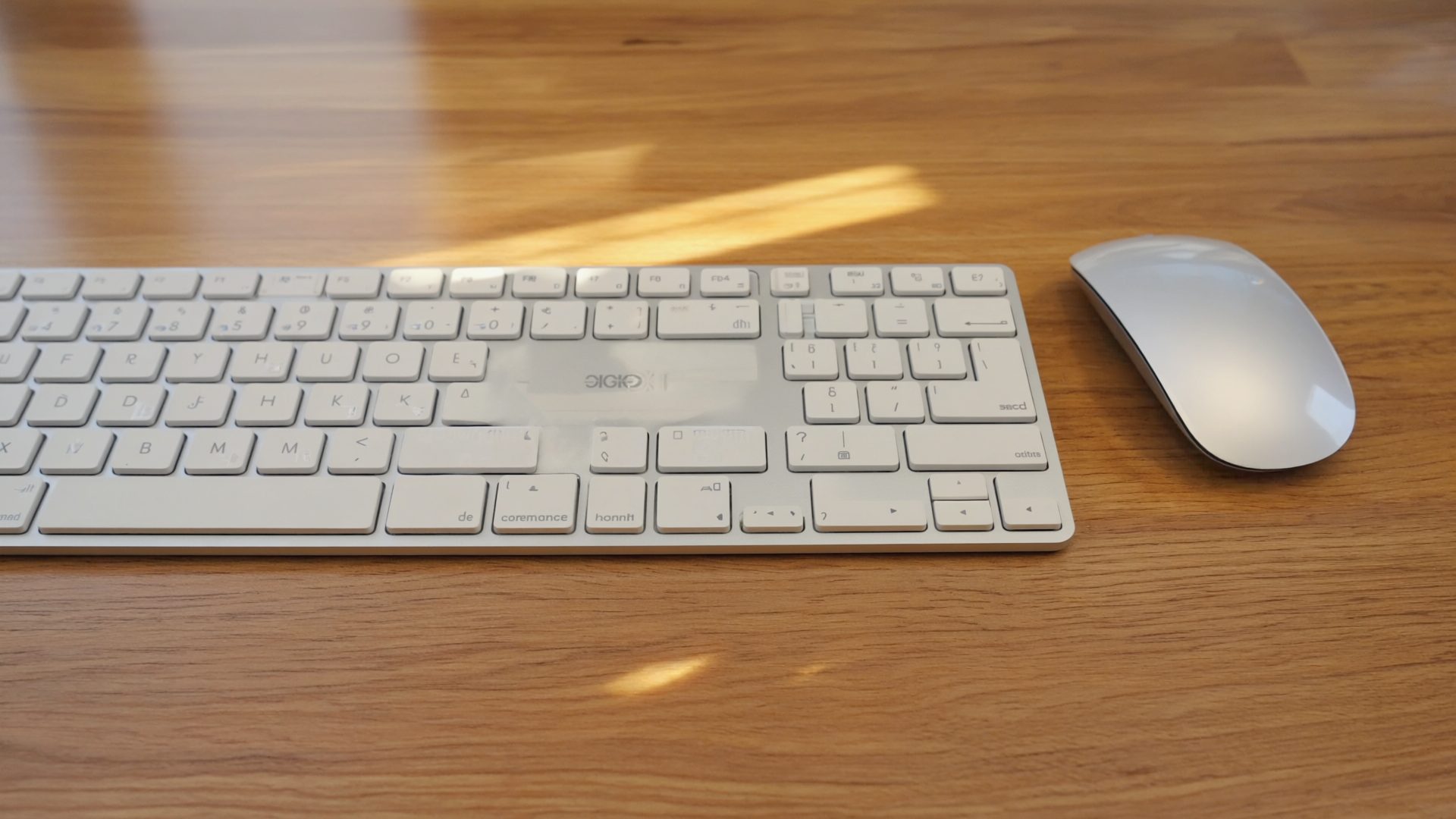 Best Ergonomic Keyboards for All-Day Typing (2026)